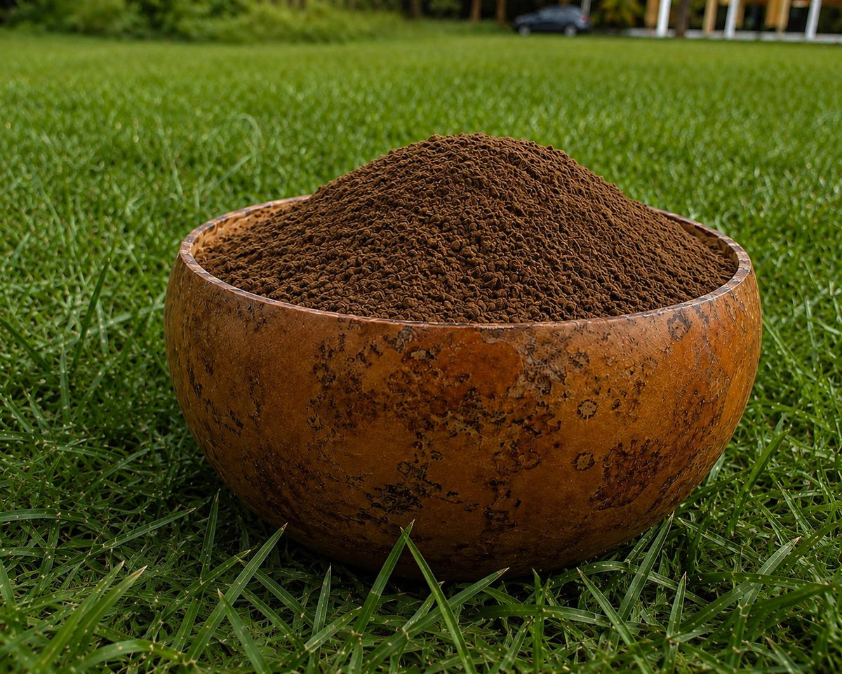 100 Percent real undiluted Epo obo powder (Anti witch powder) 1oz