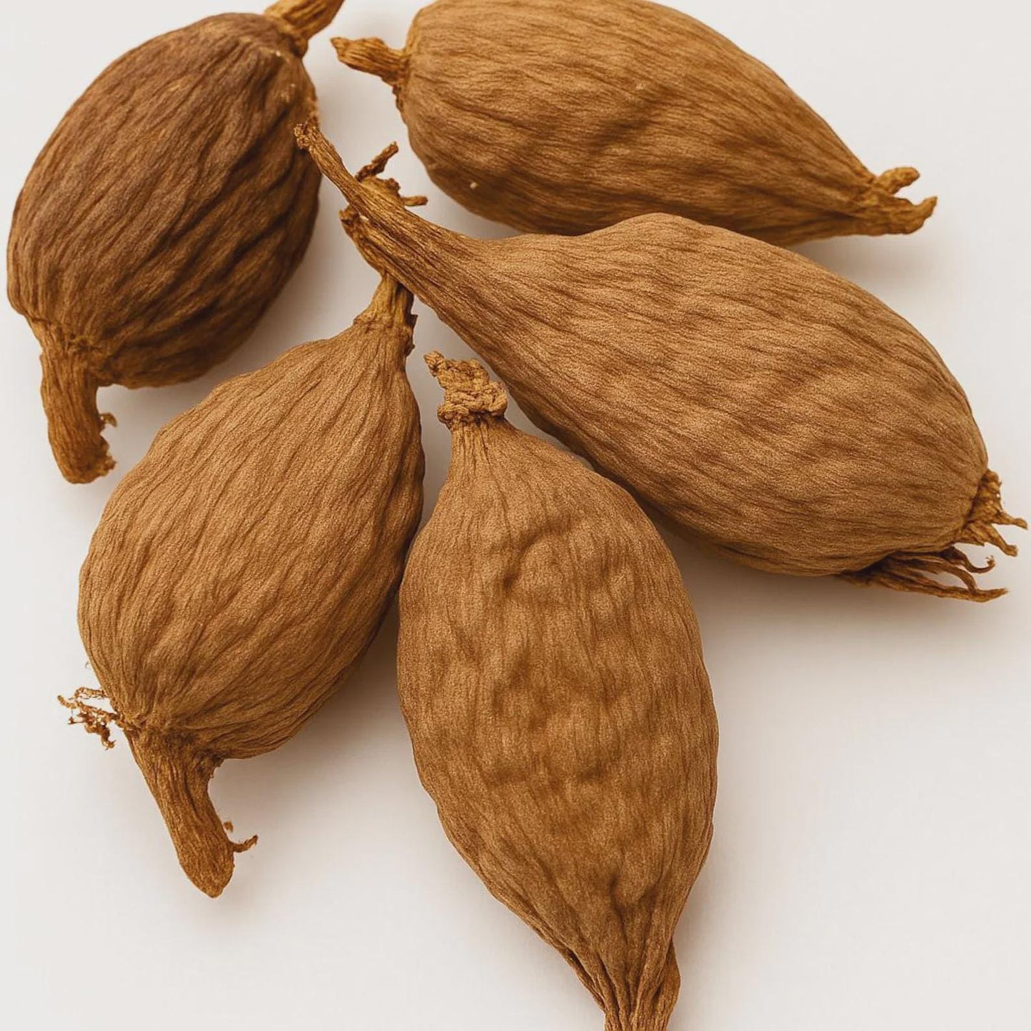 5 Yoruba Atare Alligator Pepper (Dried Spice)
