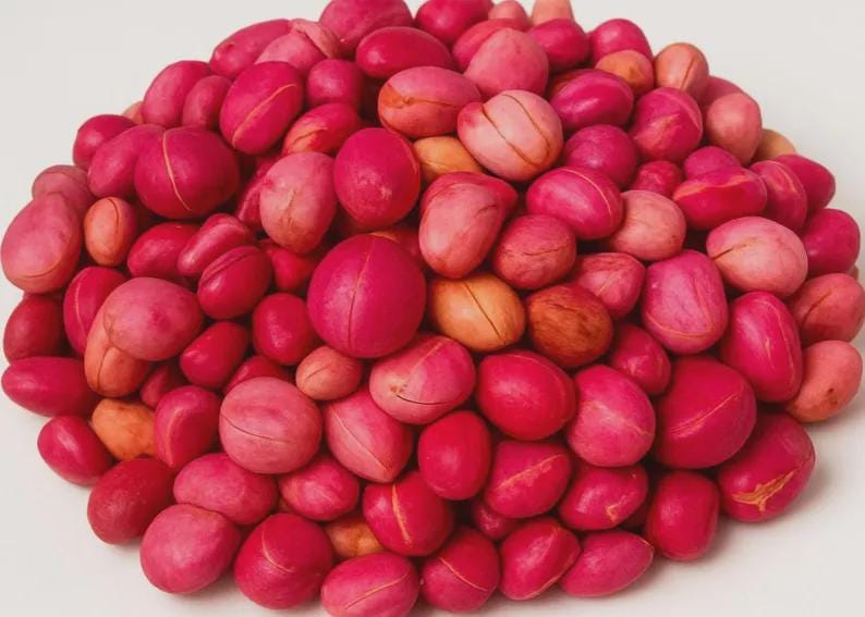 4 oz. Of Fresh Organic FOUR lobes ONLY 4oz Kola nuts Obi Abata