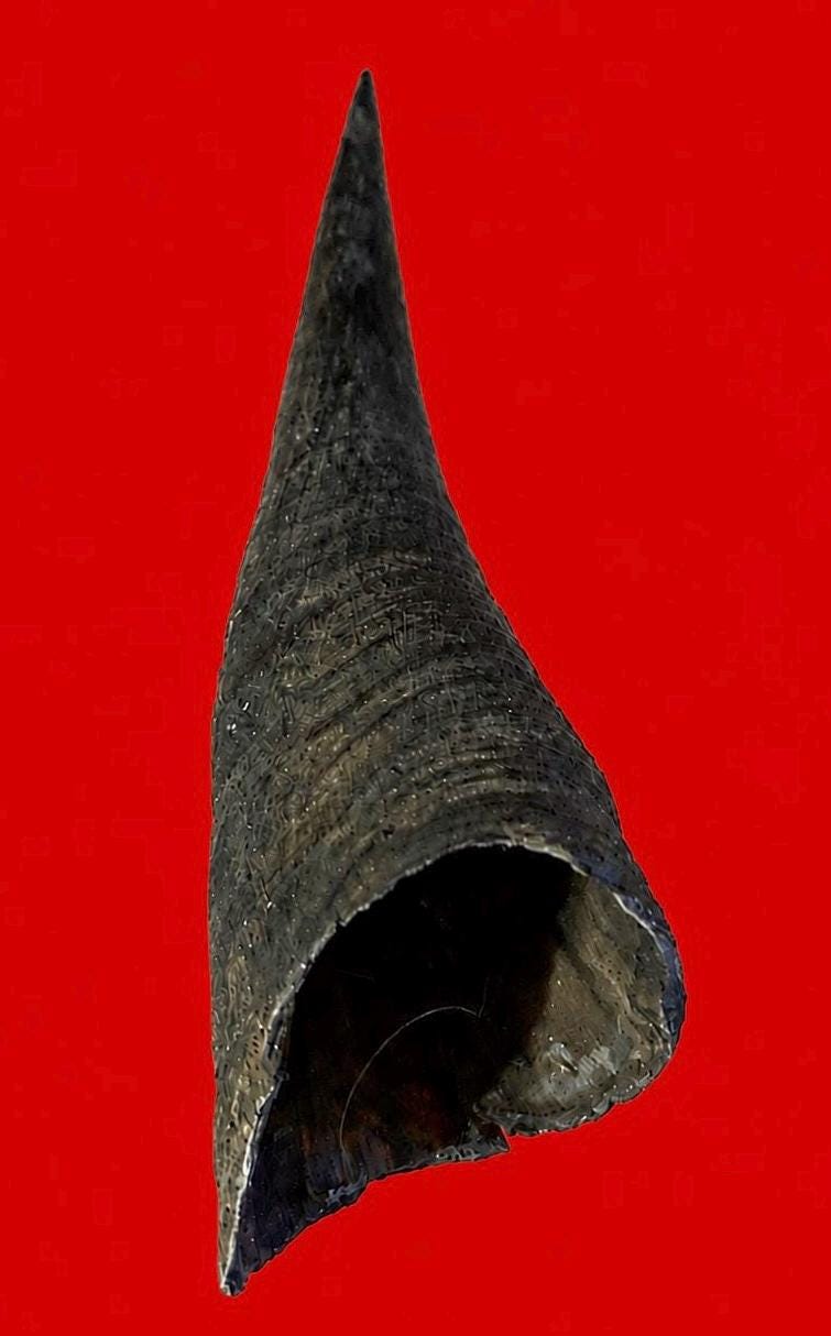 No Cruelty Antelope Horn From Yoruba Land