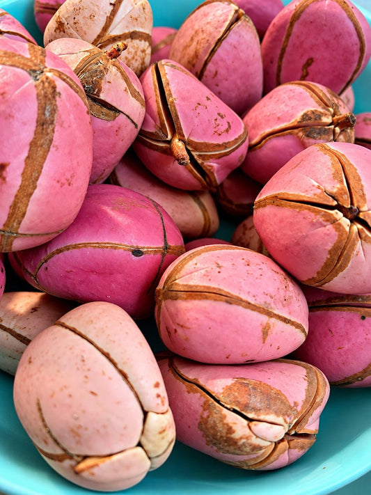 4 oz. Of Fresh Organic FOUR lobes ONLY 4oz Kola nuts Obi Abata